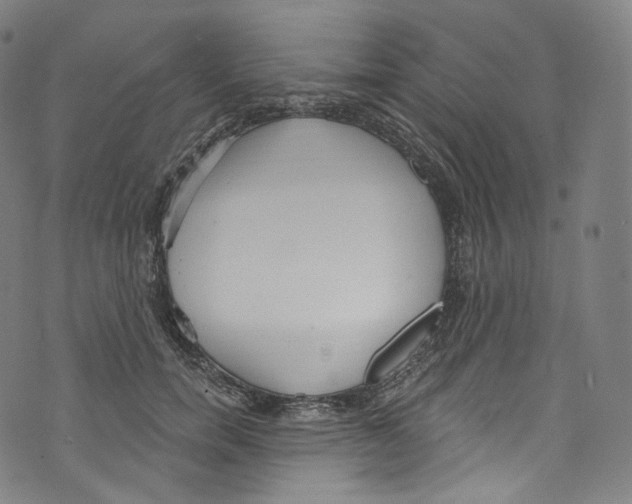 X0000072990750200608211515