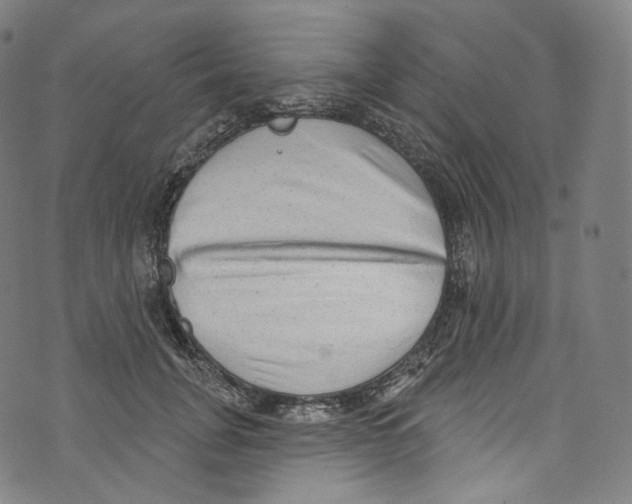 X0000072990751200608211515