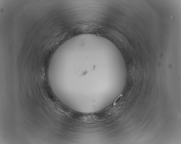 X0000072990752200608211515