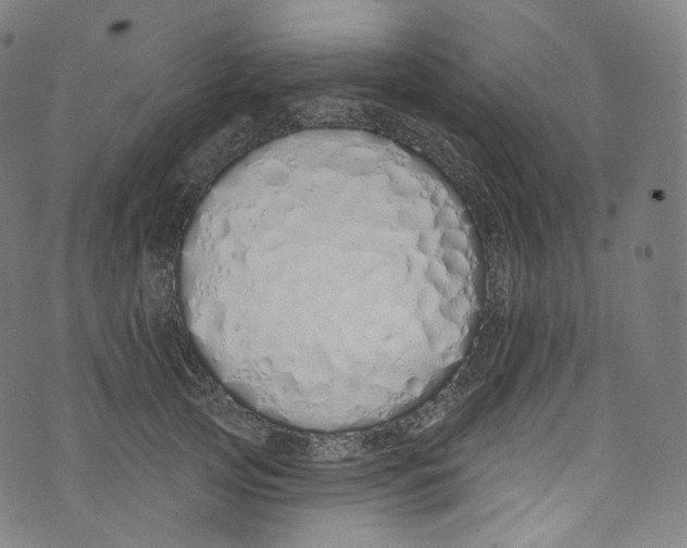 X0000072990753200608211515