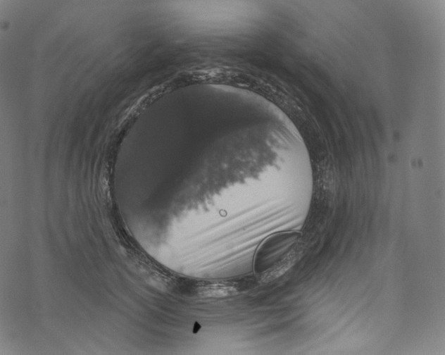 X0000072990754200608211515