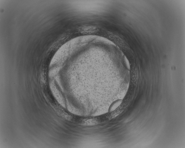 X0000072990755200608211515