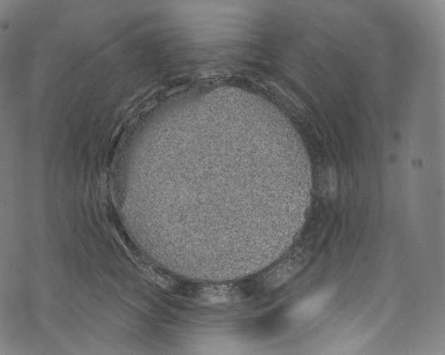 X0000072990757200608211515