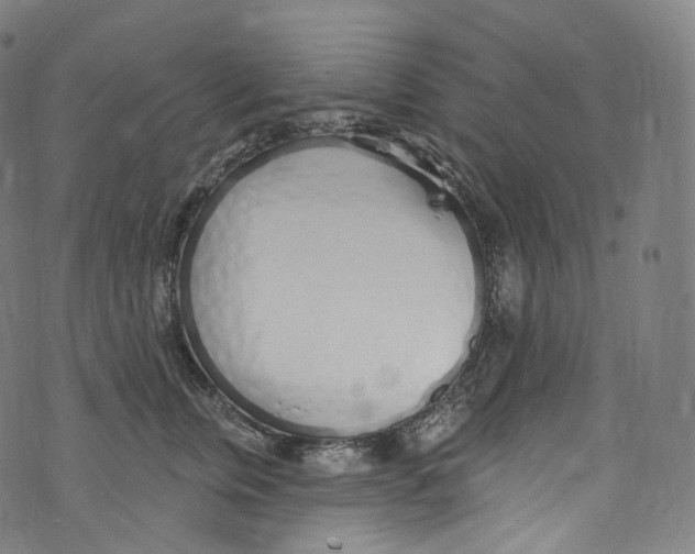 X0000072990759200608211515