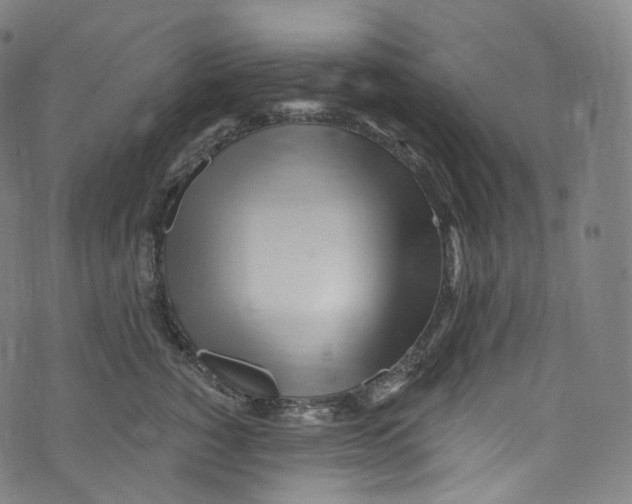 X0000072990760200608211515