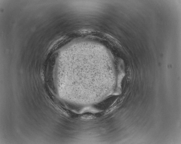 X0000072990762200608211515