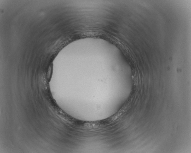 X0000072990764200608211515