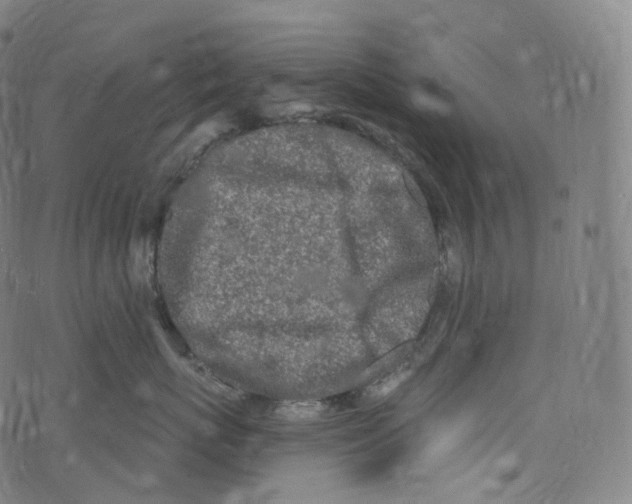 X0000072990767200608211516