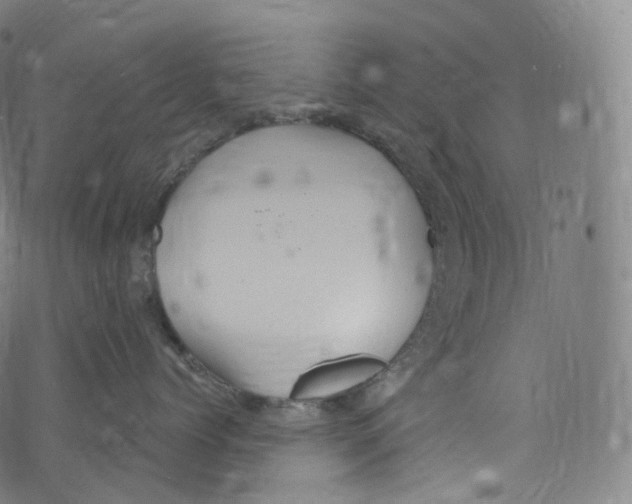 X0000072990768200608211516