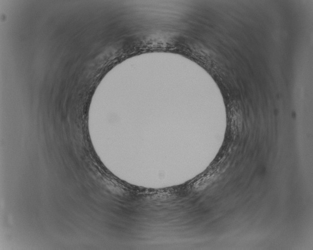 X0000072990769200608211515