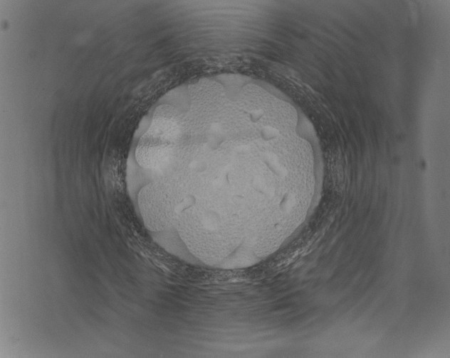 X0000072990770200608211515