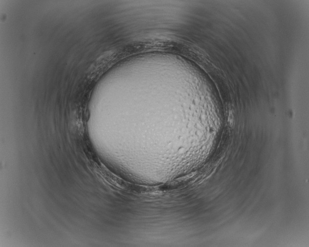 X0000072990771200608211515