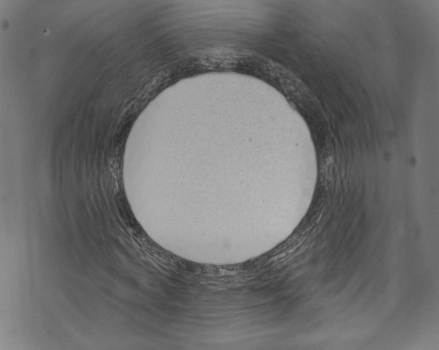 X0000072990772200608211515