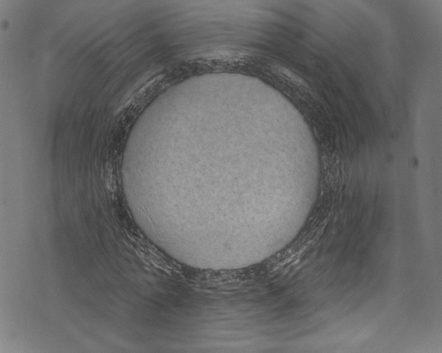 X0000072990774200608211515