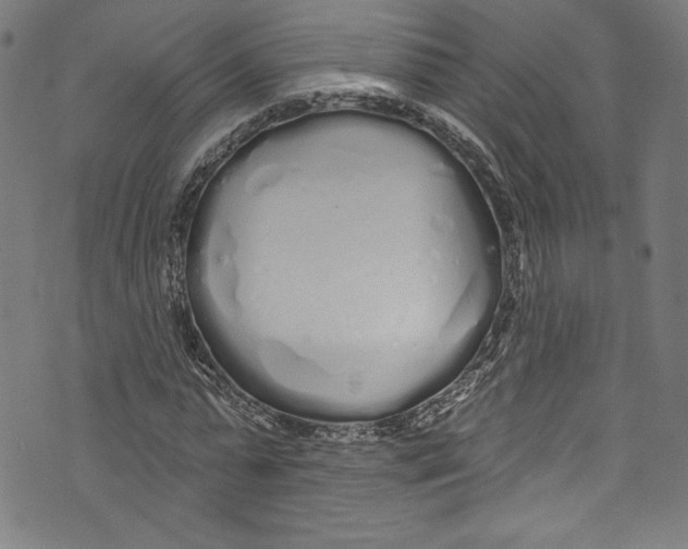 X0000072990775200608211515