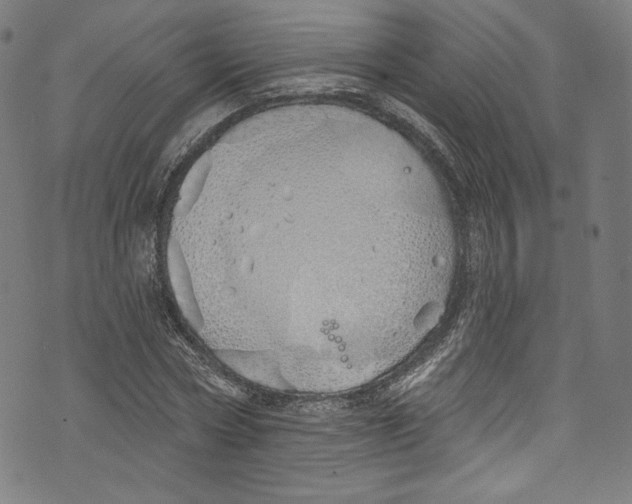 X0000072990778200608211515