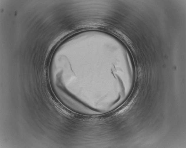 X0000072990779200608211515