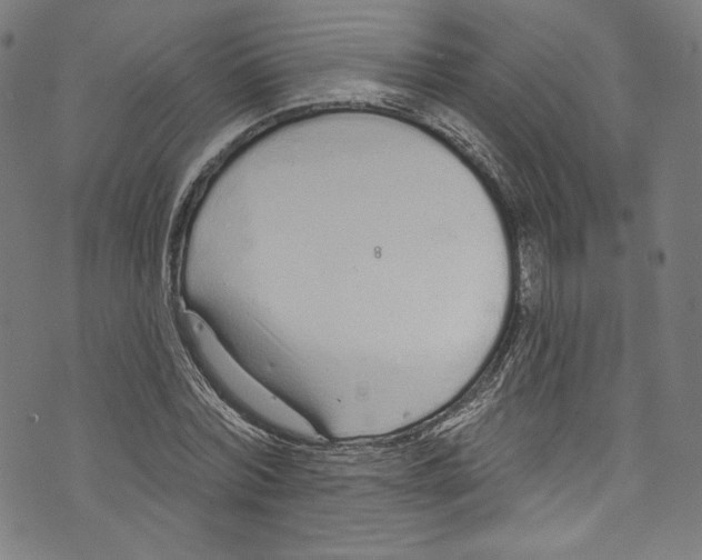 X0000072990780200608211515