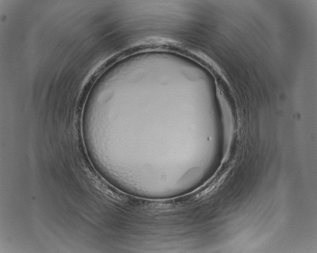 X0000072990783200608211515