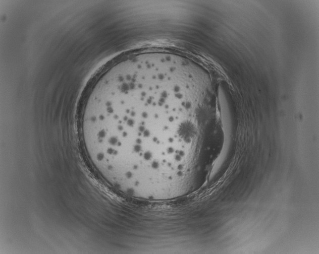 X0000072990784200608211515