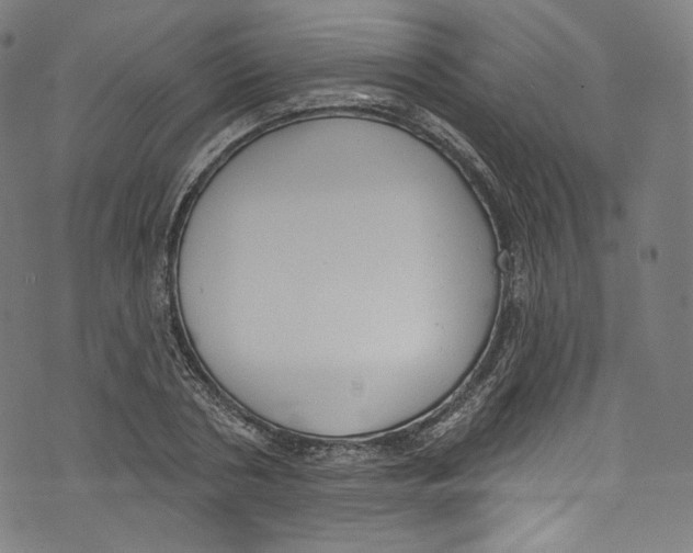 X0000072990786200608211514