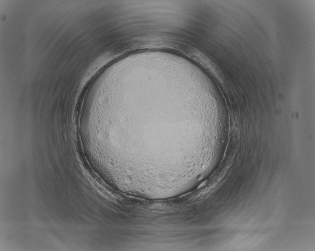 X0000072990787200608211514