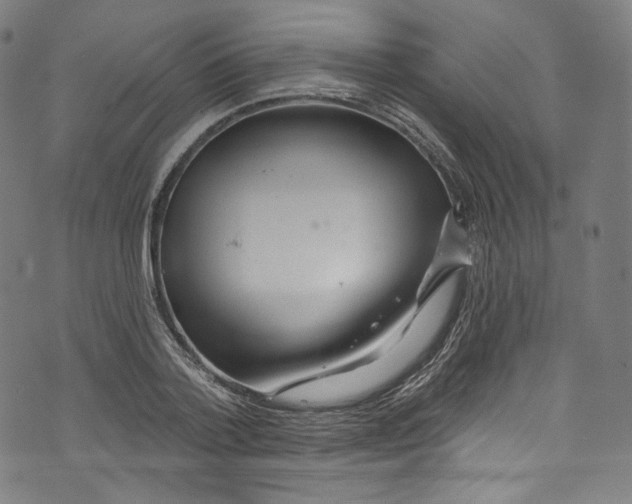 X0000072990788200608211514