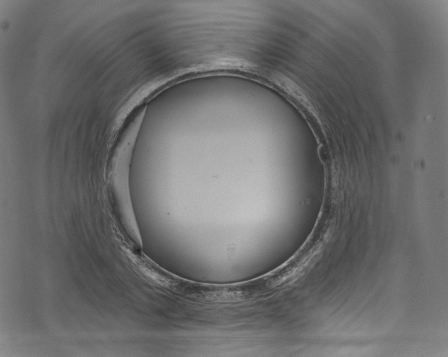 X0000072990789200608211514