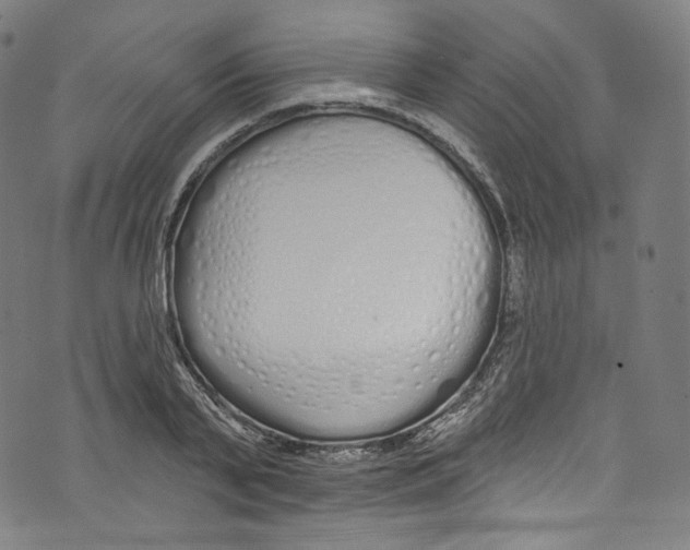 X0000072990791200608211514