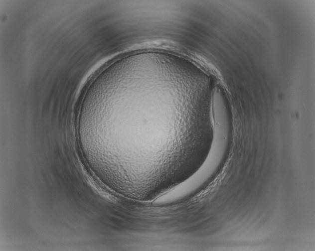 X0000072990792200608211514