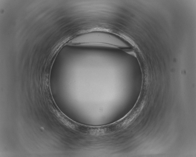 X0000072990793200608211514