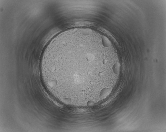 X0000072990794200608211514