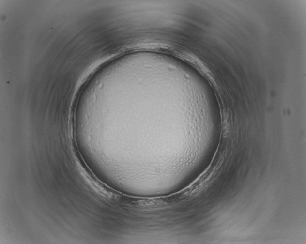 X0000072990795200608211514