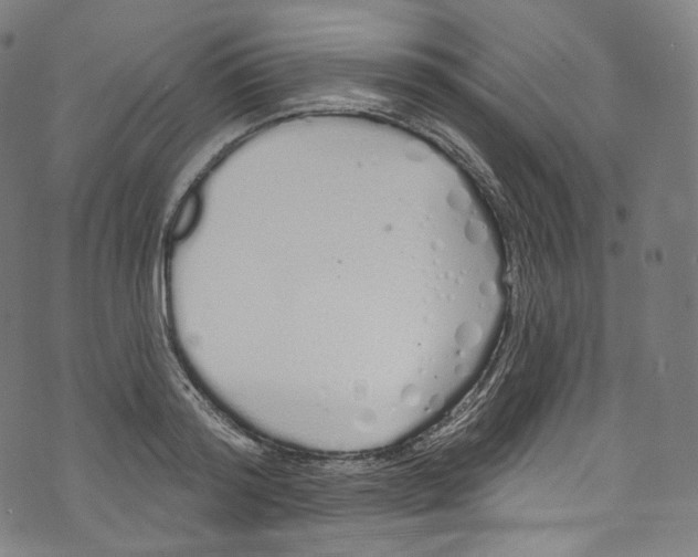 X0000072990796200608211514