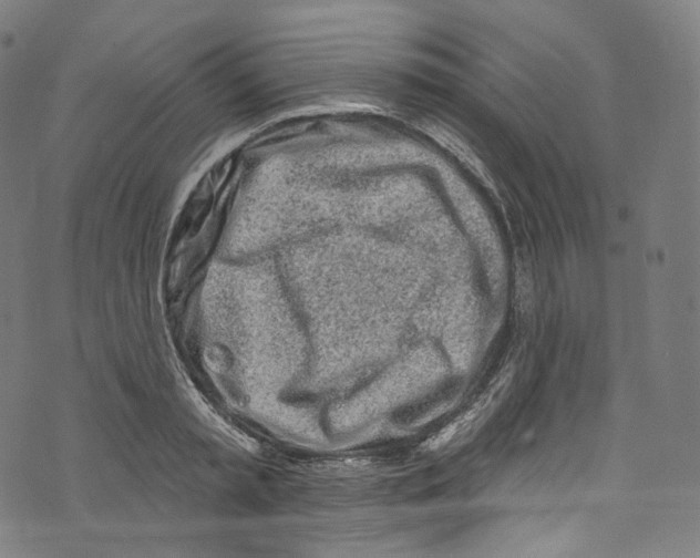 X0000072990797200608211514