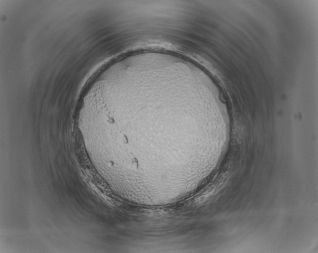 X0000072990799200608211514