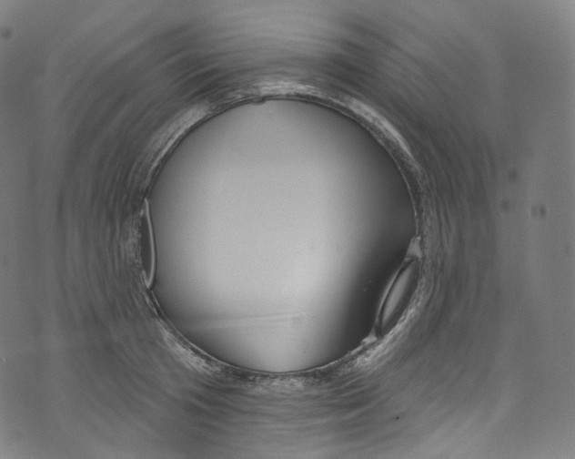 X0000072990801200608211514