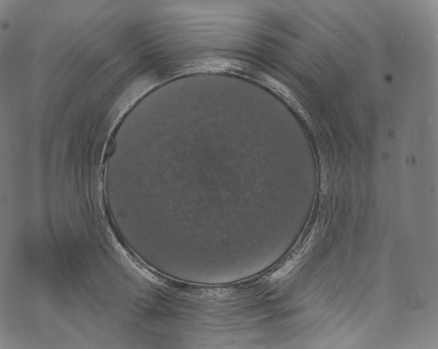 X0000072990802200608211514