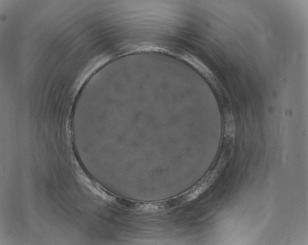 X0000072990806200608211514