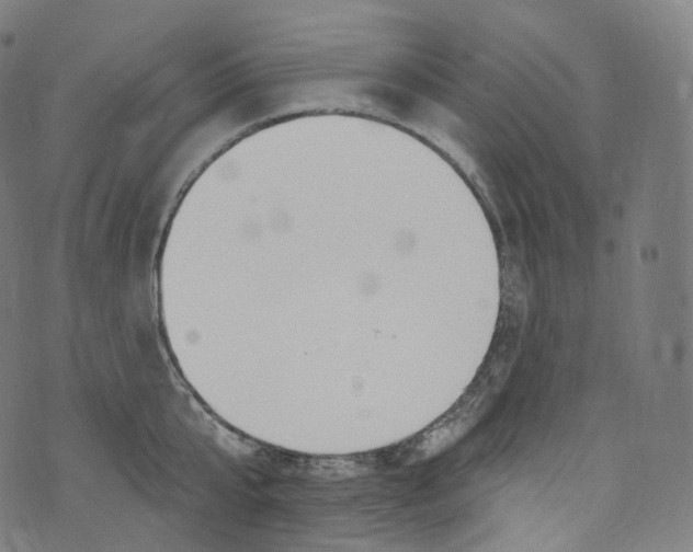 X0000072990807200608211514