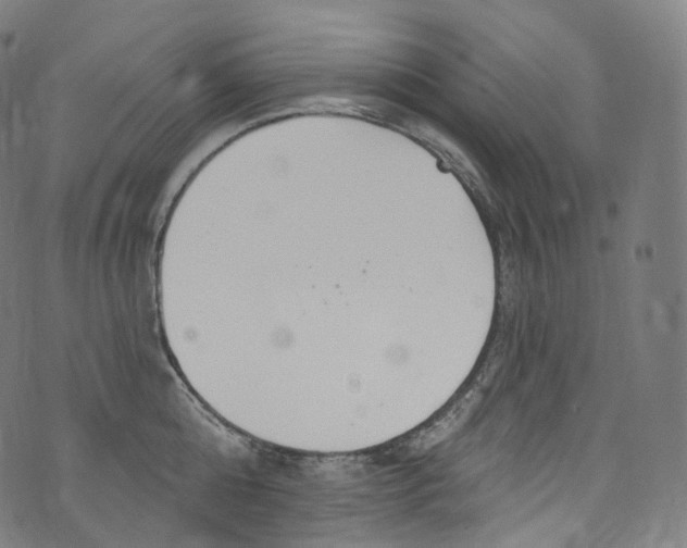 X0000072990808200608211514