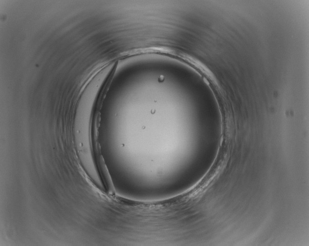 X0000072990809200608211514