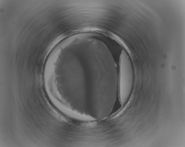 X0000072990810200608211514