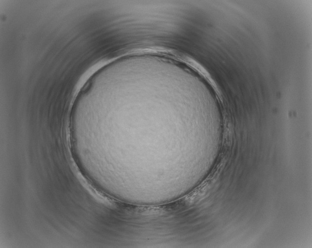 X0000072990811200608211514