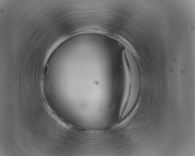 X0000072990812200608211514