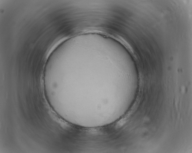 X0000072990814200608211514