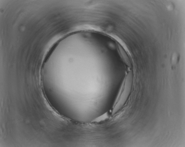 X0000072990815200608211514