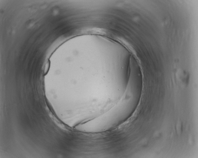 X0000072990816200608211514