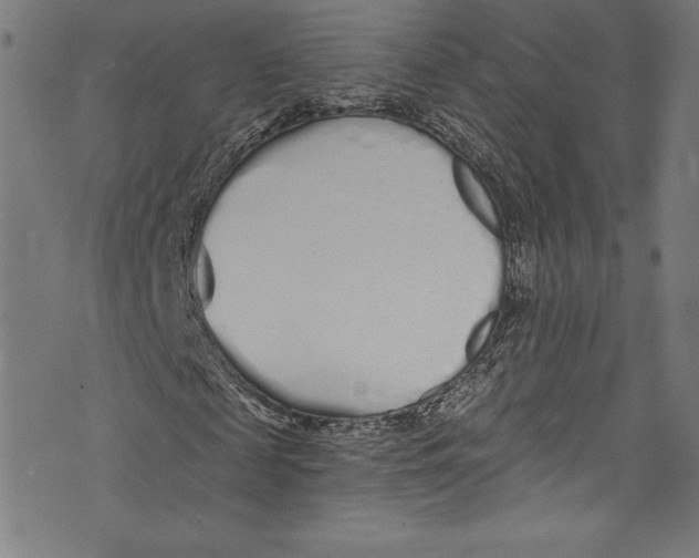 X0000072990817200608211513