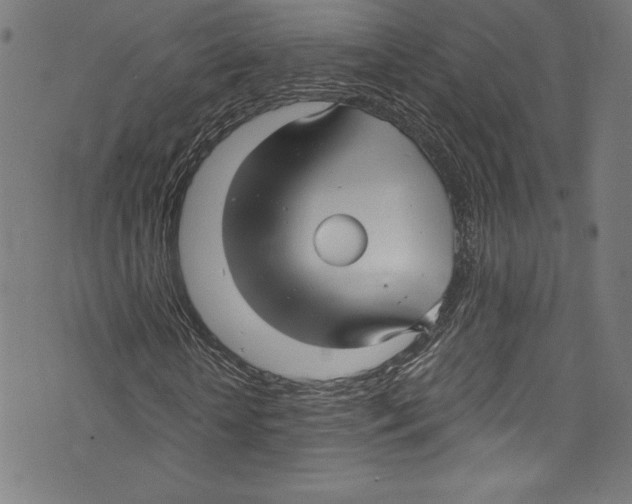 X0000072990818200608211513